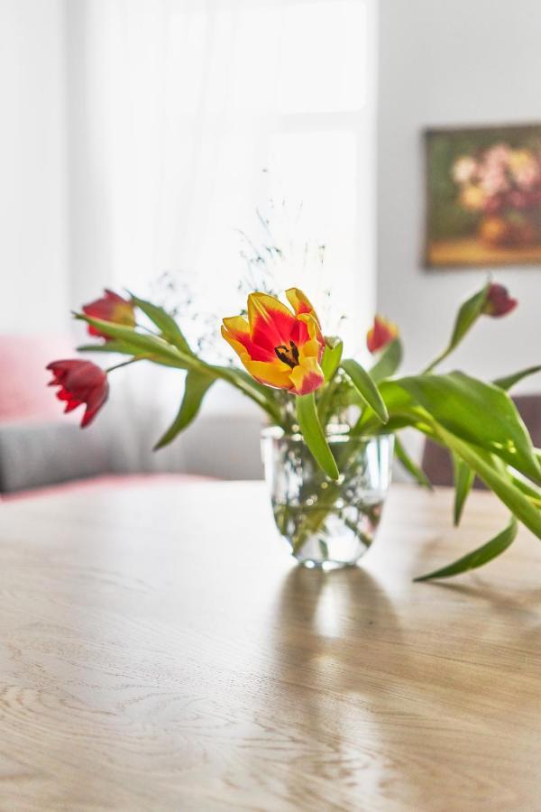 New And Lovely Apartament In Vilnius City Centre ภายนอก รูปภาพ
